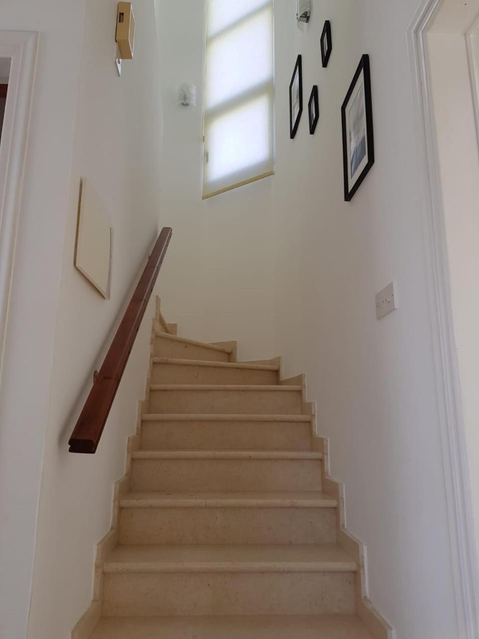 Villa Bouboulina Cyprus アヤナパ エクステリア 写真